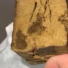 thc hash online kaufen​