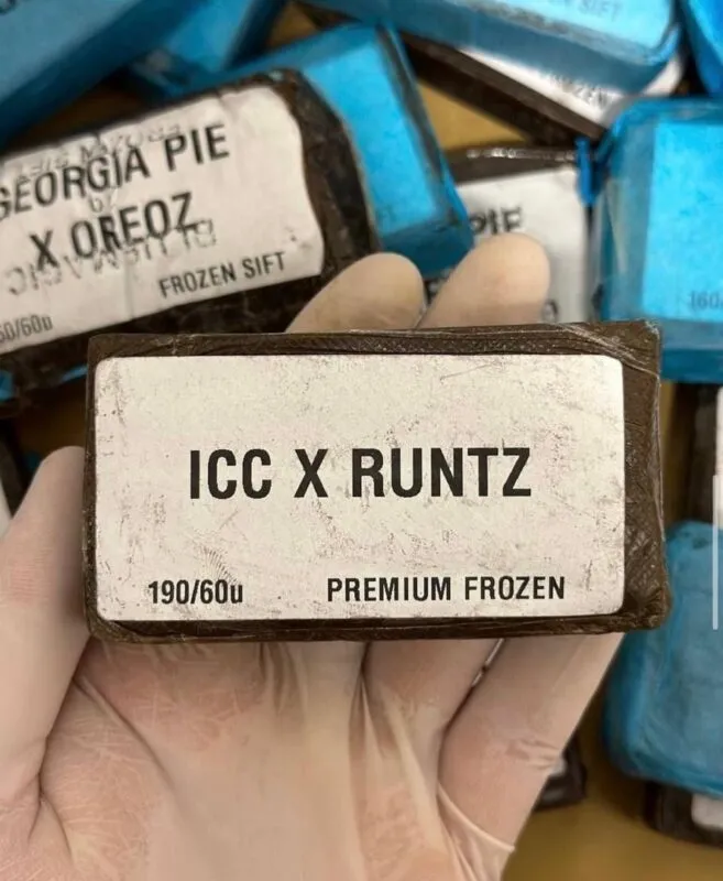 hasch kaufen bremen