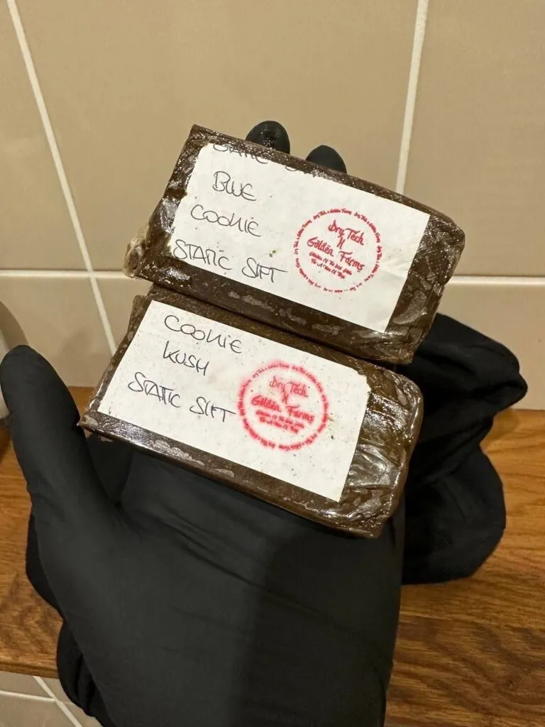 hasch kaufen